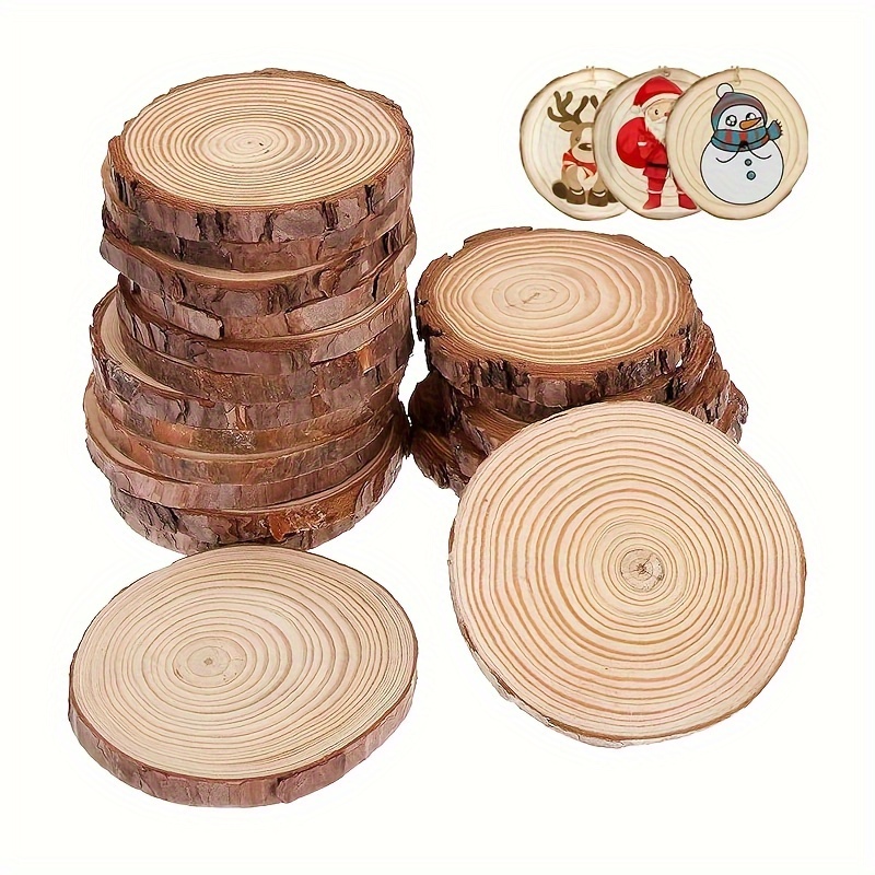 Natural Wood Slices Craft Wood Kit with Hole Wooden Circles Tree