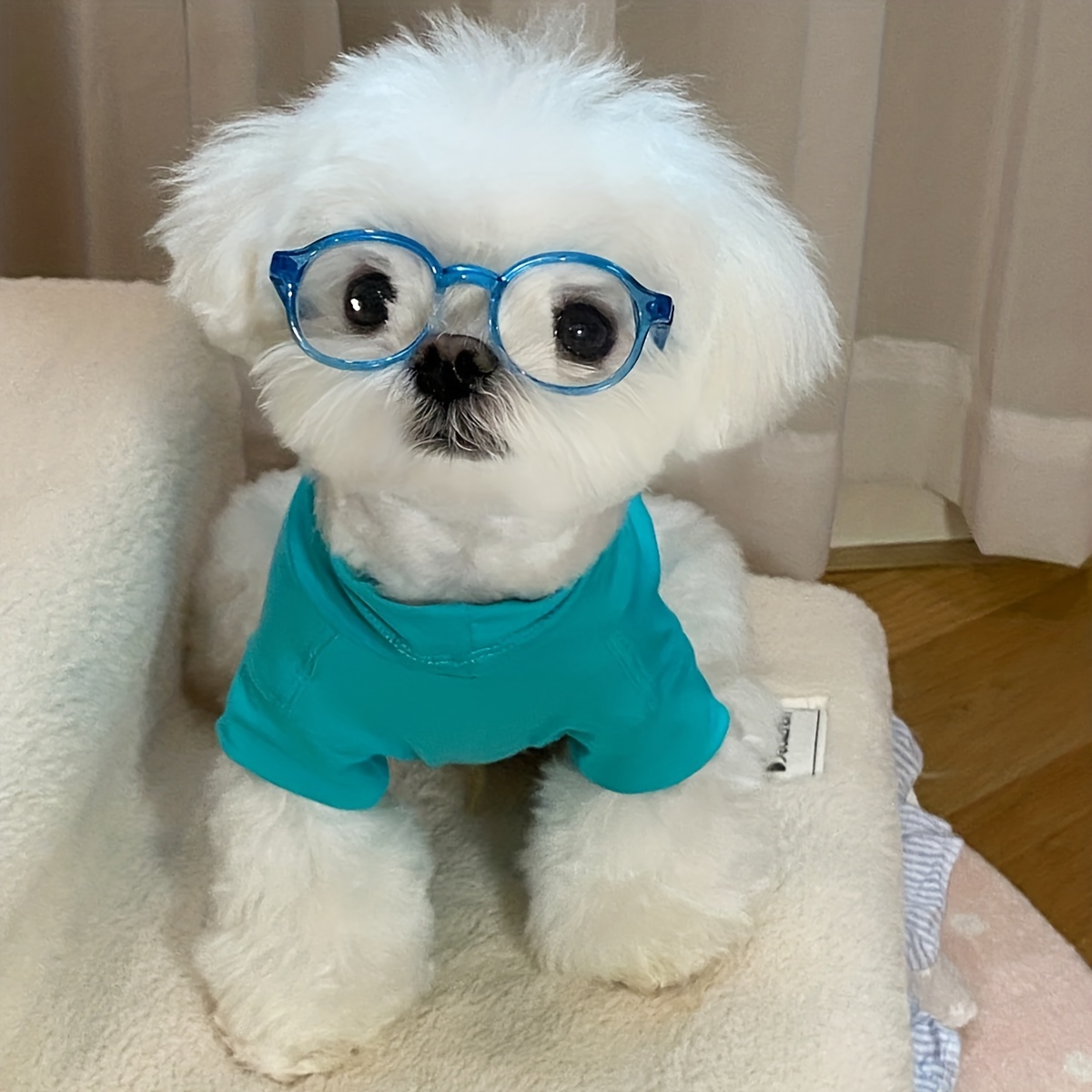 Dog Sunglasses Dog Goggles UV/Wind/Dust/Fog Protection Pet Glasses Eye  Protection Medium Large Dog