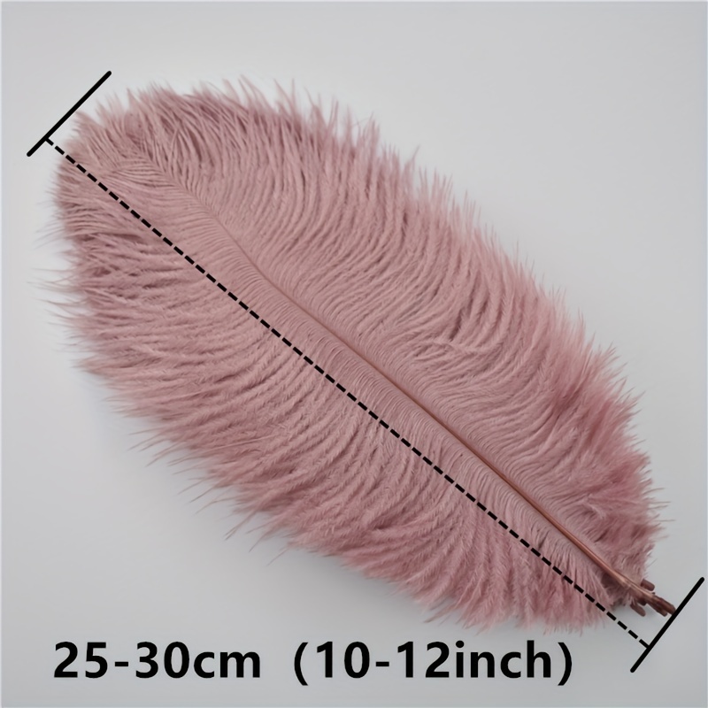 10Pcs/lot Natural Real Peacock Feathers 25-30CM/10-12inch Feathers for  Crafts Wedding Feathers Jewelry Making Decoration Plumas - AliExpress