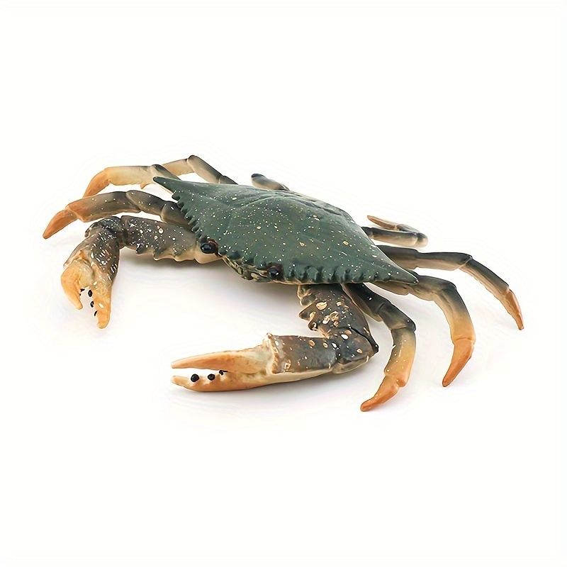 Image of Simulation Model, Solid Sand Crab Animal Toys