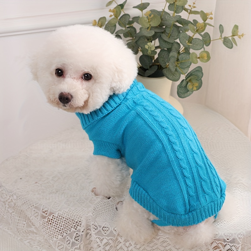 Dottie's puppy sweater