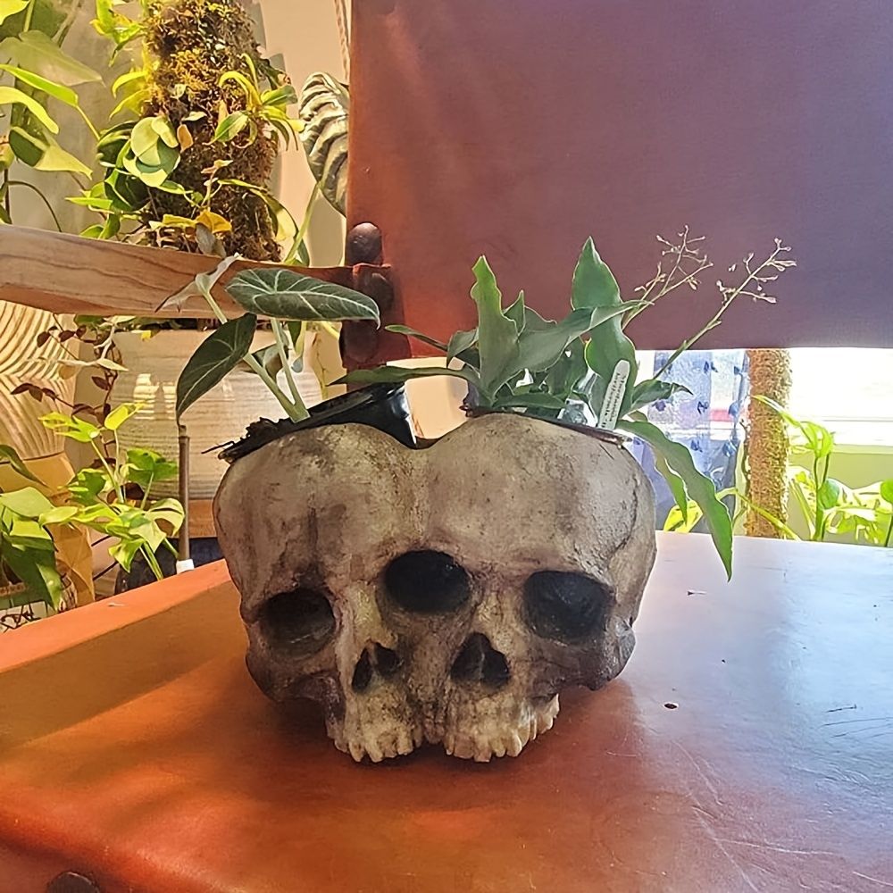1pc Skull Planter Pots For Indoor Plants Skull Plant Pot Head Yard Art  Outdoor And Garden Decor Outside Spring Skull Flower Pot For Home  Decorations Birthday Gag Gifts - Home & Kitchen -