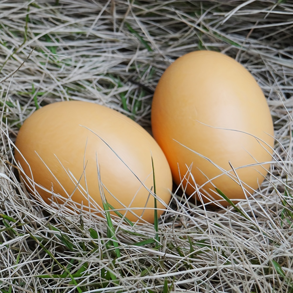 Danieli | Huevera para Huevos pasados por Agua | Hueveras para Huevos  cocidos de Mesa | Soporte para Huevos Rellenos de plastico Transparente 