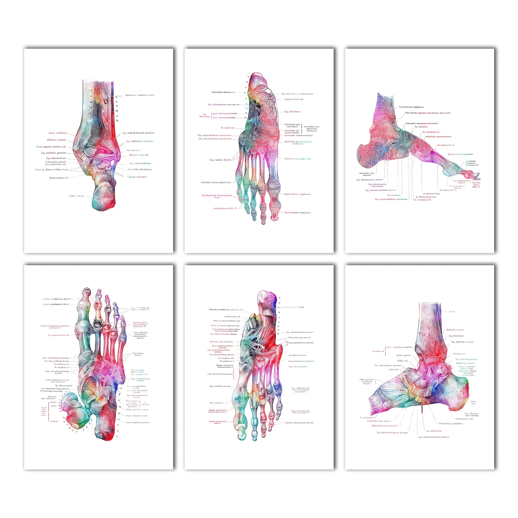 foot pattern printable