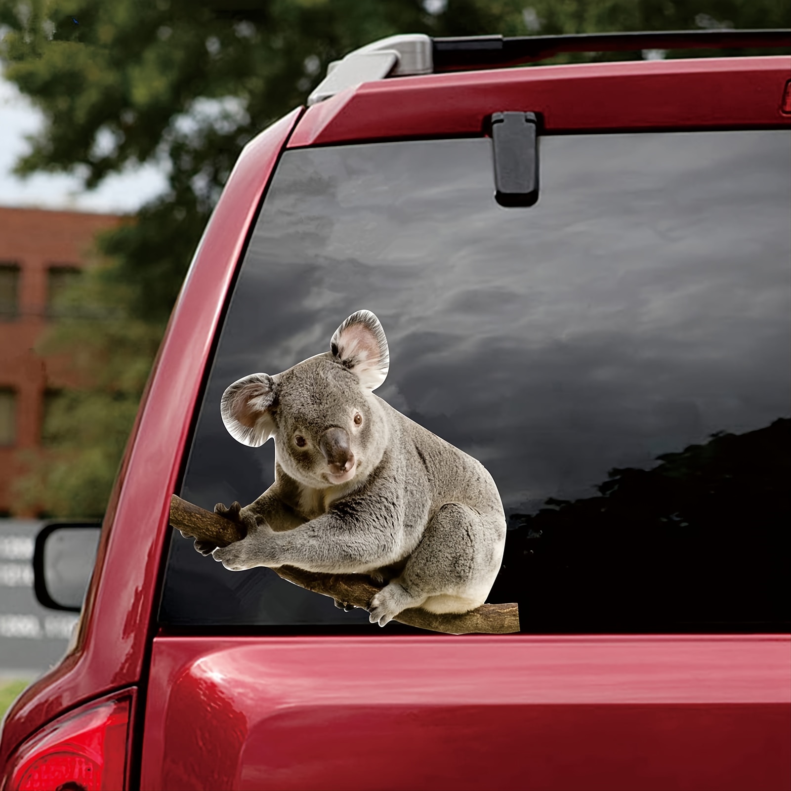 koala car sticker