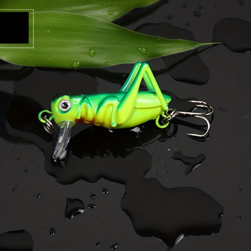 Simulated Grasshopper Locust Baits Includes Storage Box - Temu