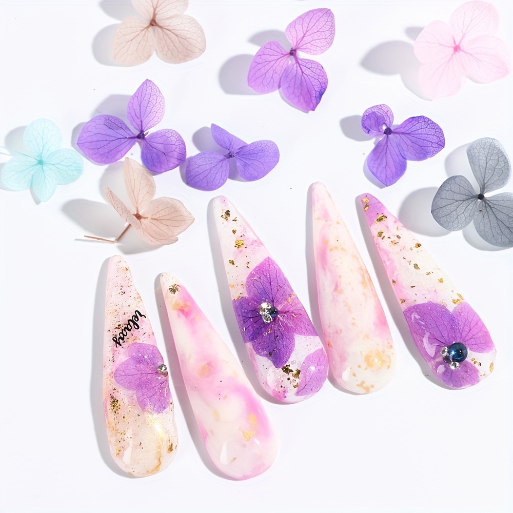 Warmfits Dried Flowers for Nails 120pcs/set 3D Real Encapsulated Nail  Pressed Flowers for Nail Art & Resin Craft DIY - Gypsophila, Five Petals  Flowers, Leaves, Hydrangea Macrophylla (Pattern A)