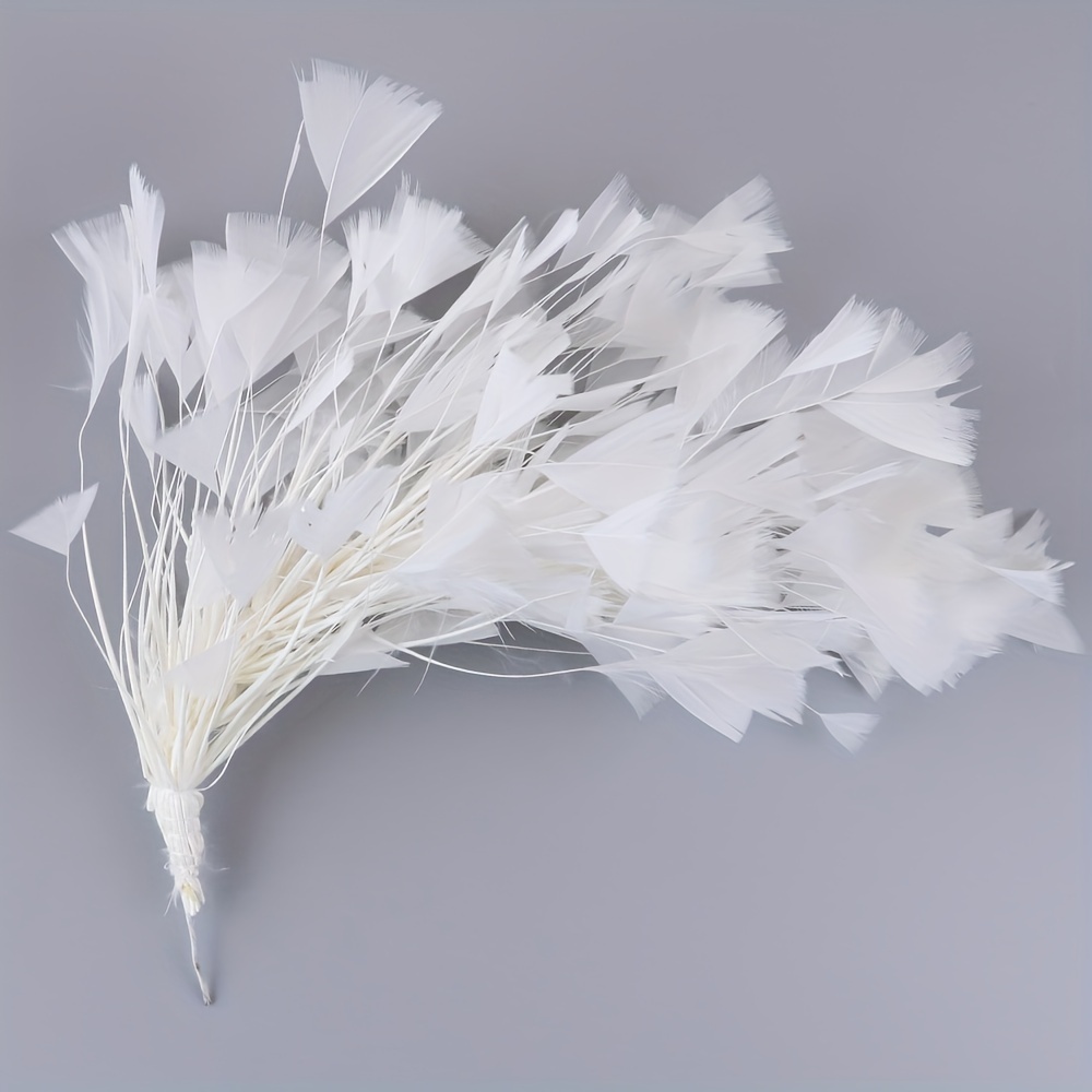 Pheasant Feathers (5pcs) gray-beige, Length 4 - 10 cm