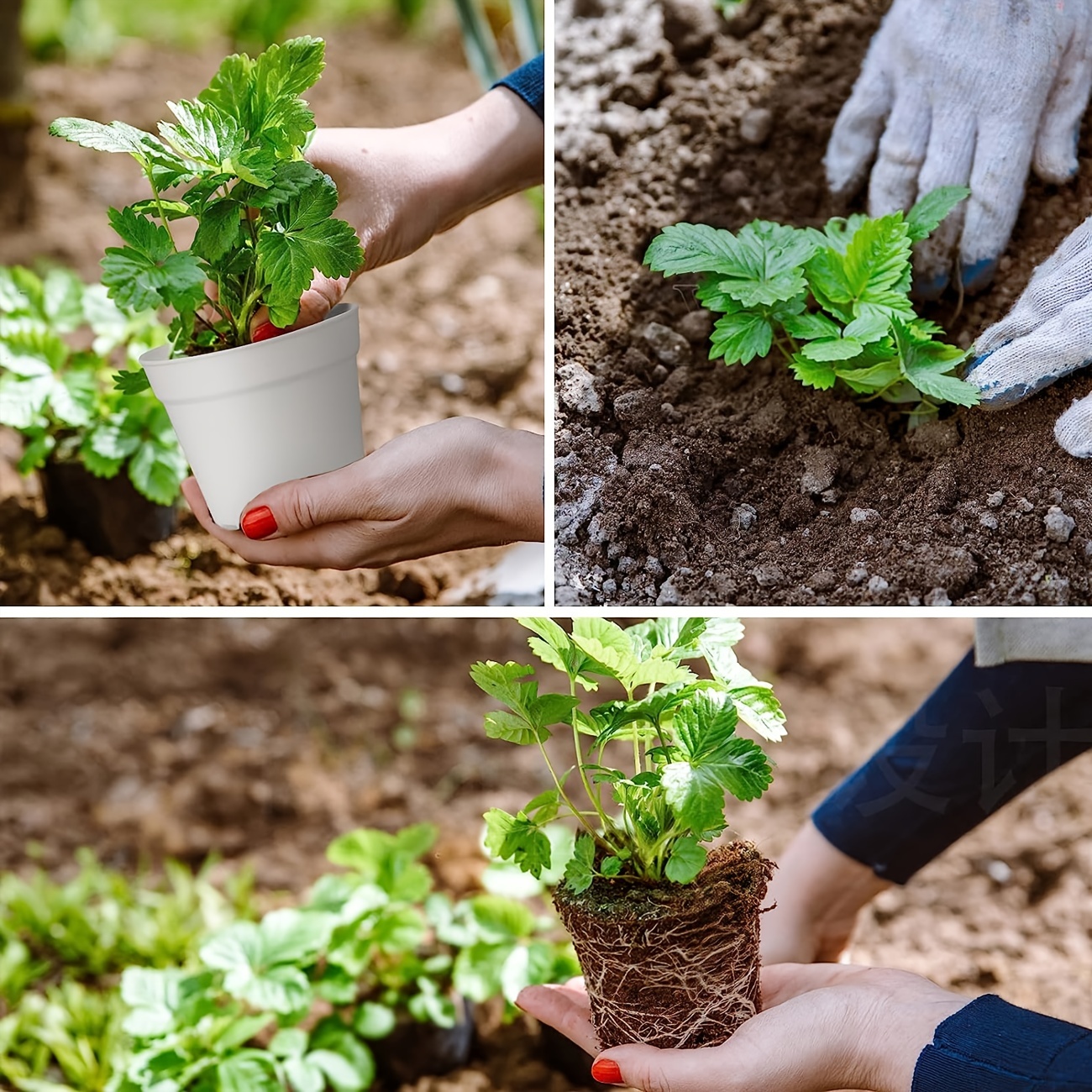 12 Pacchetti, 10,16 Cm Piccoli Vasi Per Piante, Vasi In Plastica Con Fori  Di Drenaggio E Sottovasi Per Fiori, Piante Grasse, Vasi Per La Semina