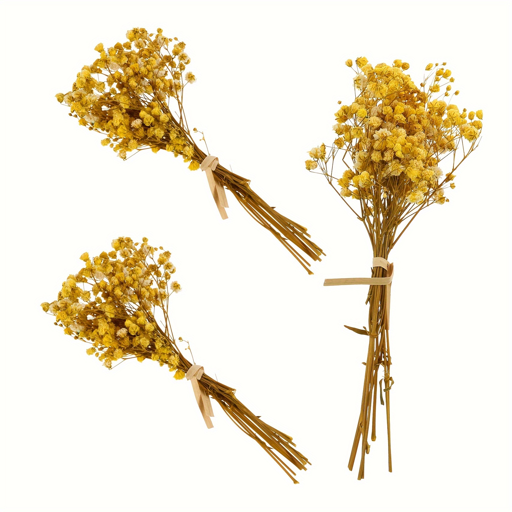 Dried White Flowers Natural Gypsophila Branches For Party - Temu