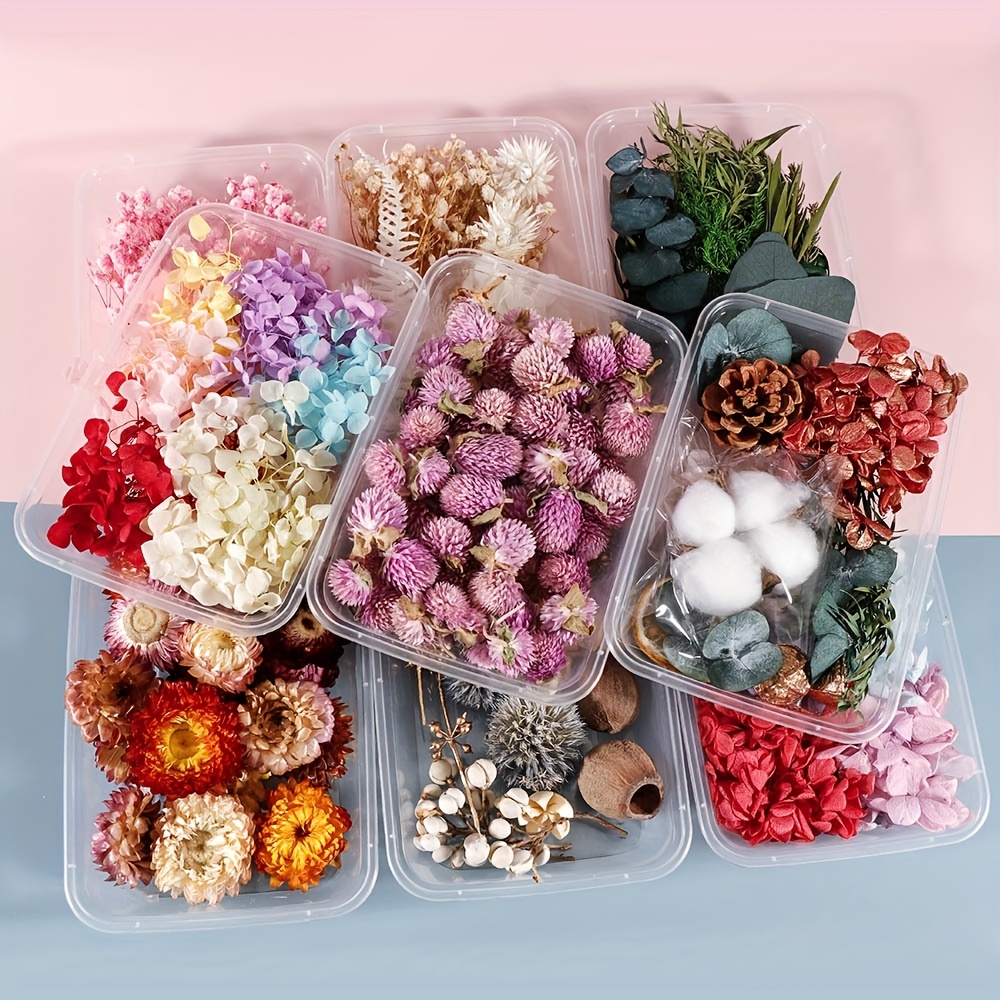 1Box Mixed Real Dried Flowers Dried Plants DIY Making Pendant Decor  Accessories 