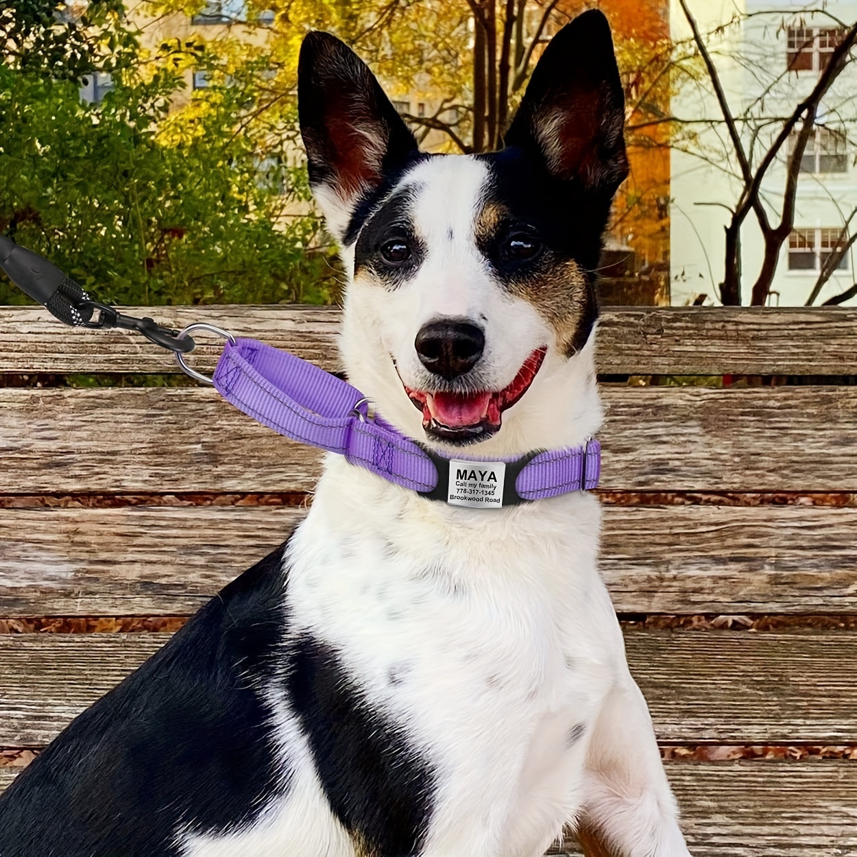 Engrave Pet's Name A Personalized Dog Tag Slide Cat Id Tags Temu