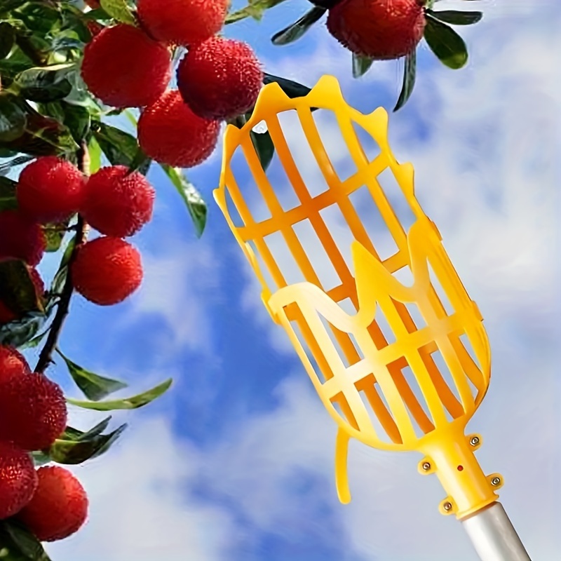 Recogedor de Frutas Telescópico Herramientas para Recoger Frutas Cerezas  Bayas Recolector Cosechador con Poste Ligero Ajustable y Bolsa para Naranja  Manzana Aguacates (Poste de 5 Pies): : Jardín