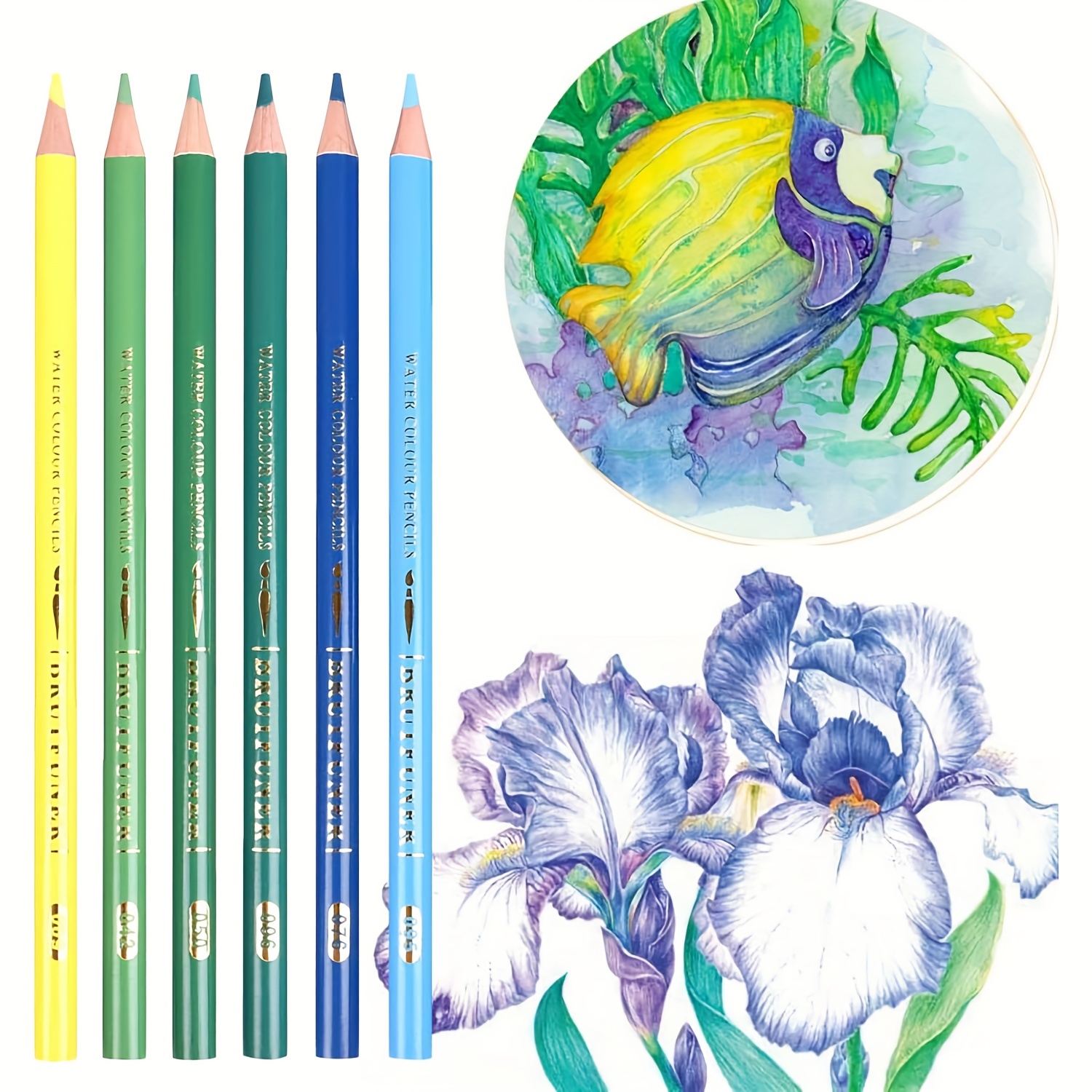 Watercolor Pencils - Professional /72/160 - Beautiful Blending Effects With  Wet Or Dry - Ideal For Coloring Book - Water Soluble Pencils For Kids  Adults Beginners - Temu