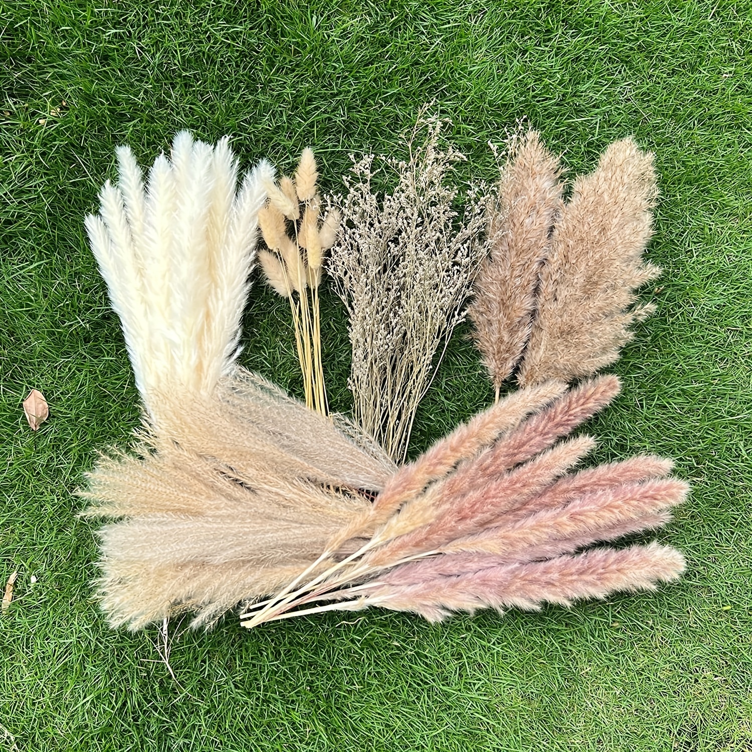  Pampas Grass Decor, 53 PCS Natural Dried Pampas Grass - Pampas  Grass, Reed, Bunny Tails, Fluffy Dried Floral Arrangements Bouquet for Boho  Room Home Wedding Decoration : Home & Kitchen