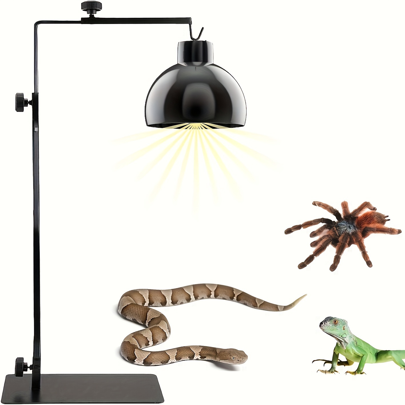 Reptile lamp store holder