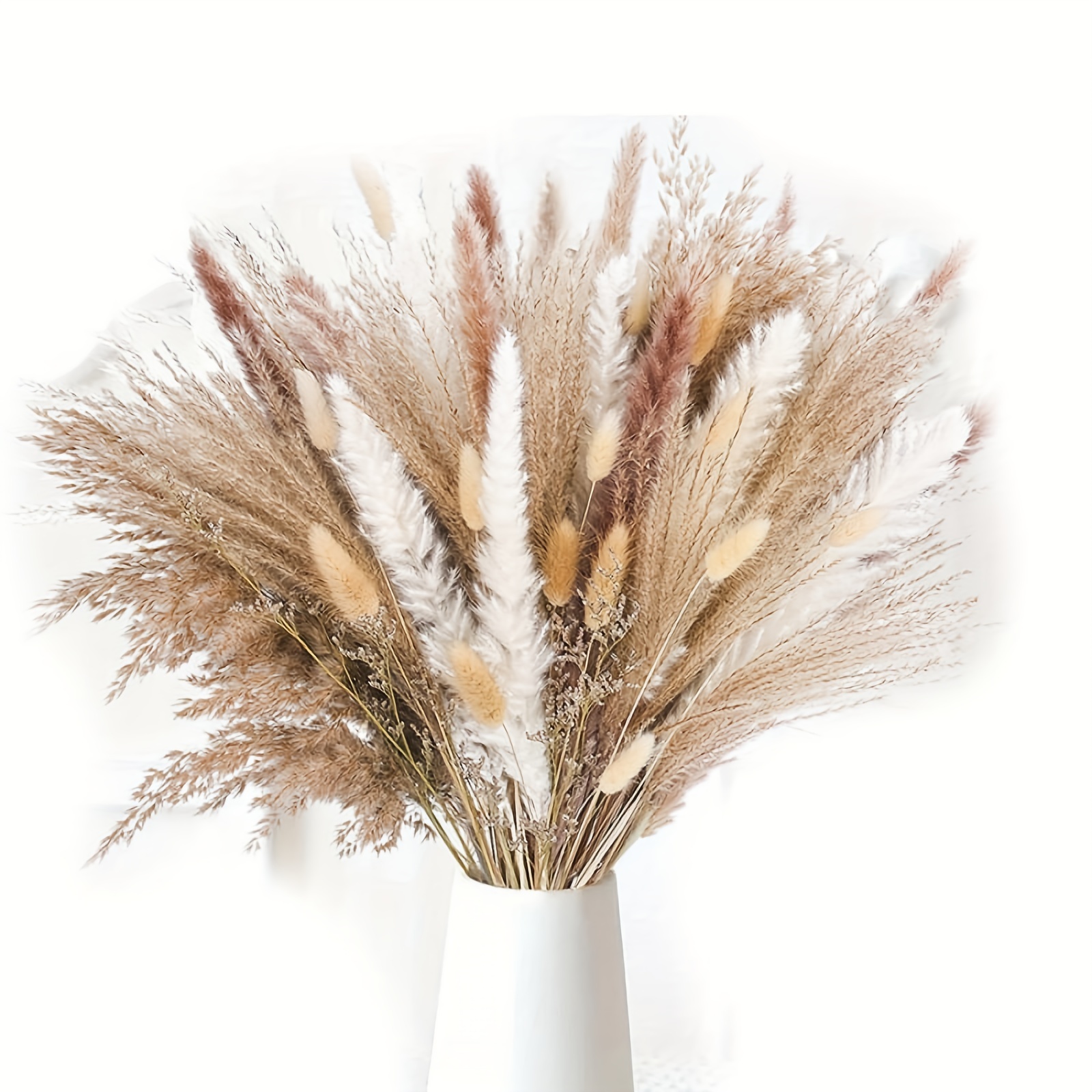 ZJTAPE Piume Erba della pampas - Erba di Pampa Essiccata Naturale,  Marrone、Erba di Pampa Bianca Fronde soffici, Bouquet di fiori secchi , per  la Decorazione Della Casa di Fiori : : Casa