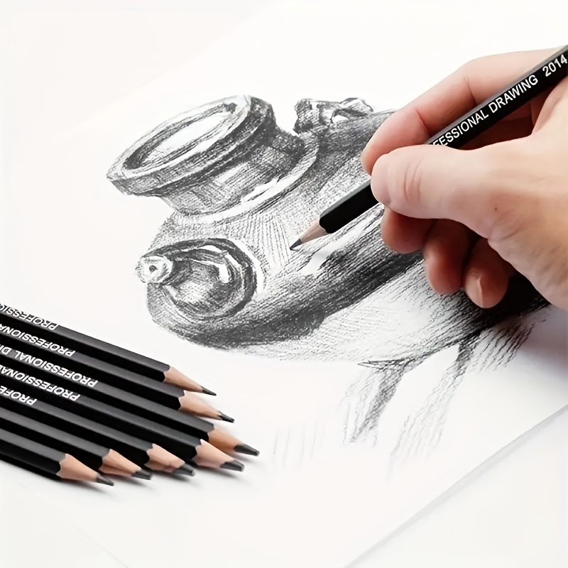 Qionew Juego de lápices de dibujo profesional paquete de 12 lápices de  dibujo artístico lápices de grafito 14B – 4H ideal para dibujar lápices de
