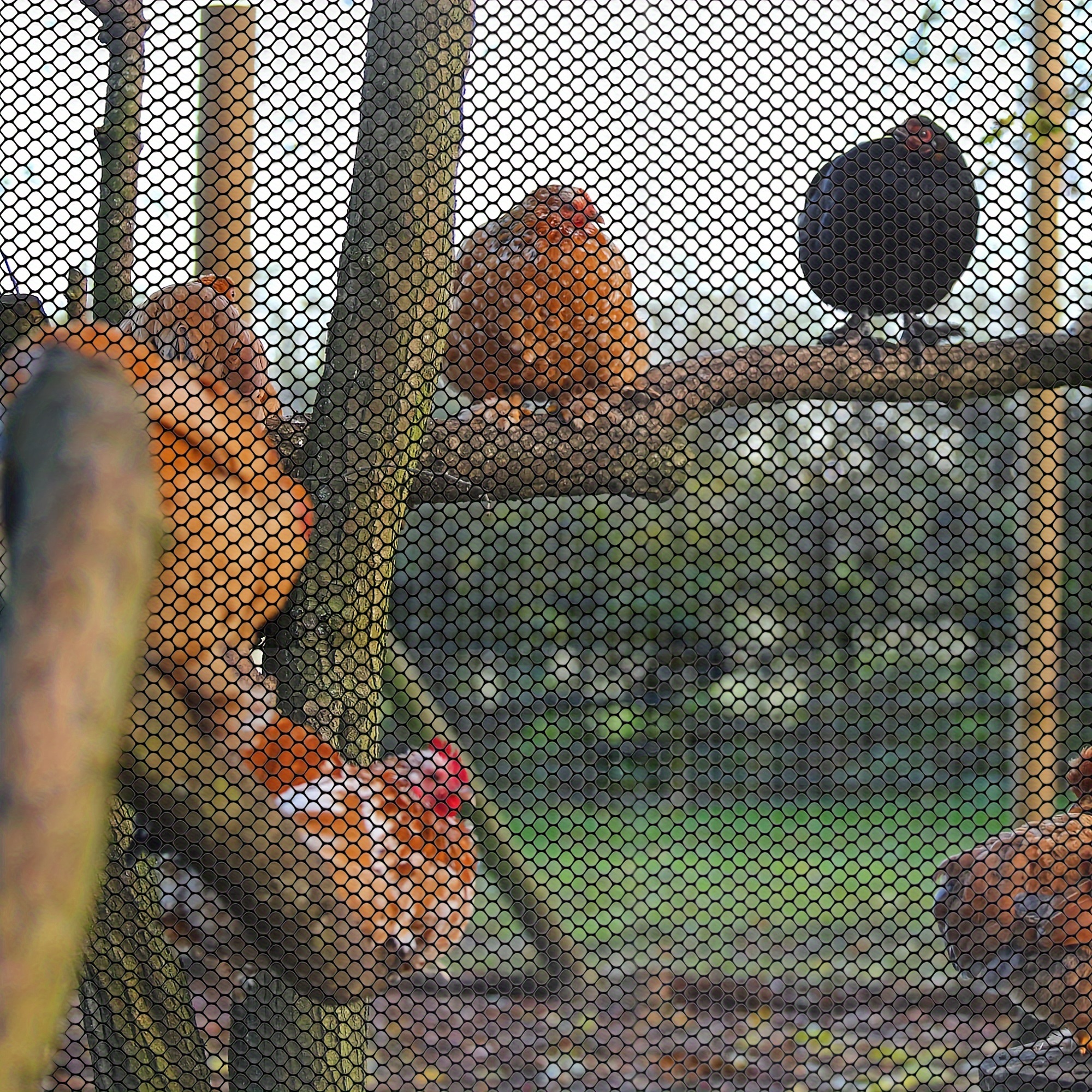 Malla de alambre de pollo de plástico, cercado transparente de HDPE  cortable, rollo de malla de alambre para jardín/aves de corral/barrera de