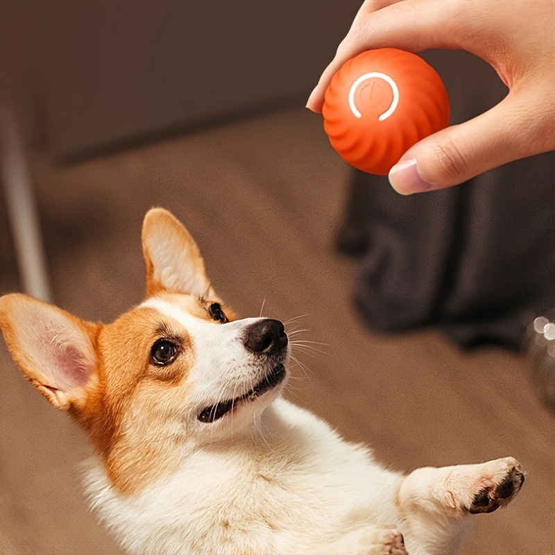 Comprar Juguetes interactivos para perros, pelota rodante