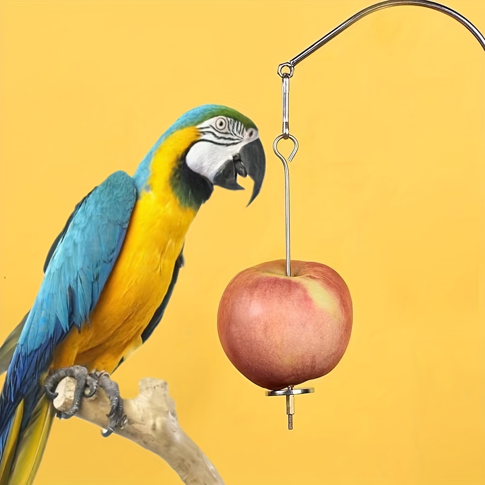 

Mangeoire Pour Oiseaux de Compagnie, Fourchette À Fruits En Acier Inoxydable, Mangeoire Pour Oiseaux, Accessoires Pour Cage À Oiseaux, Perroquets, Lapins, Écureuils, Fournitures Pour Oiseaux