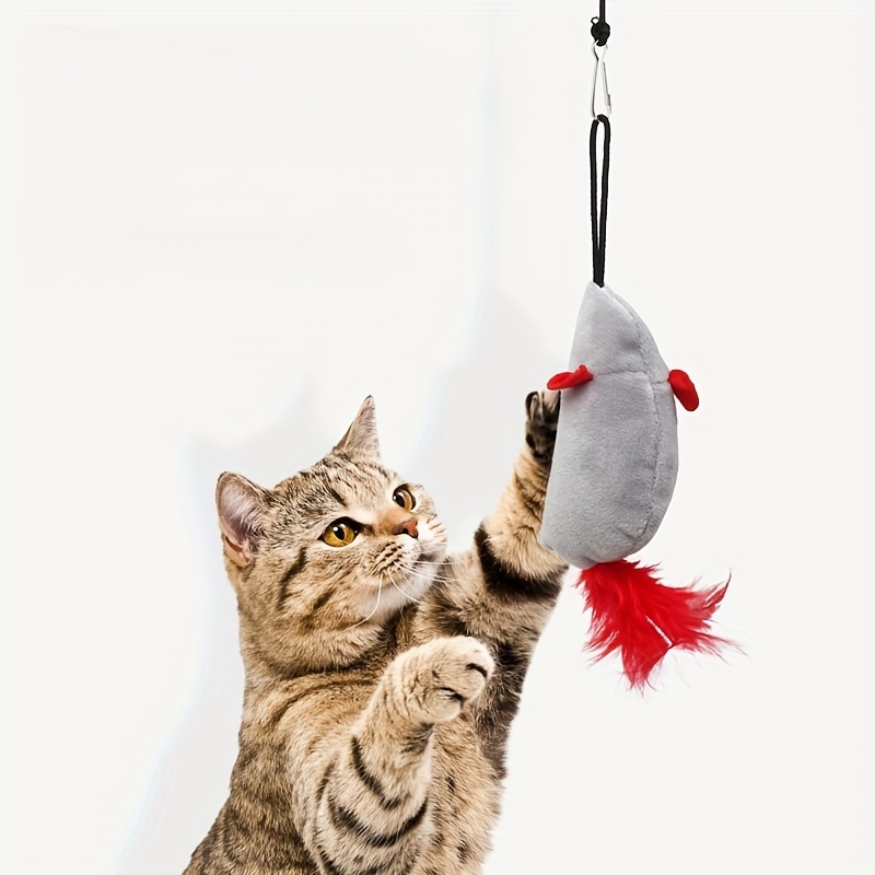 Cat Toy Retractable Cat Wand Toy Interactive Catcher Teaser - Temu