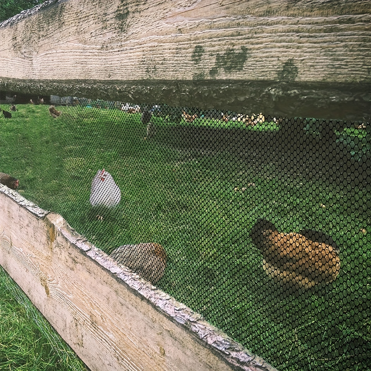 1 Pack Malla Alambre Pollo Plástico Negro Alambre Cercado - Temu