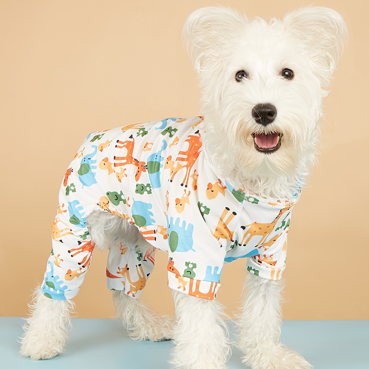 Costume - ensemble,vêtements pour petits chiens,accessoires pour