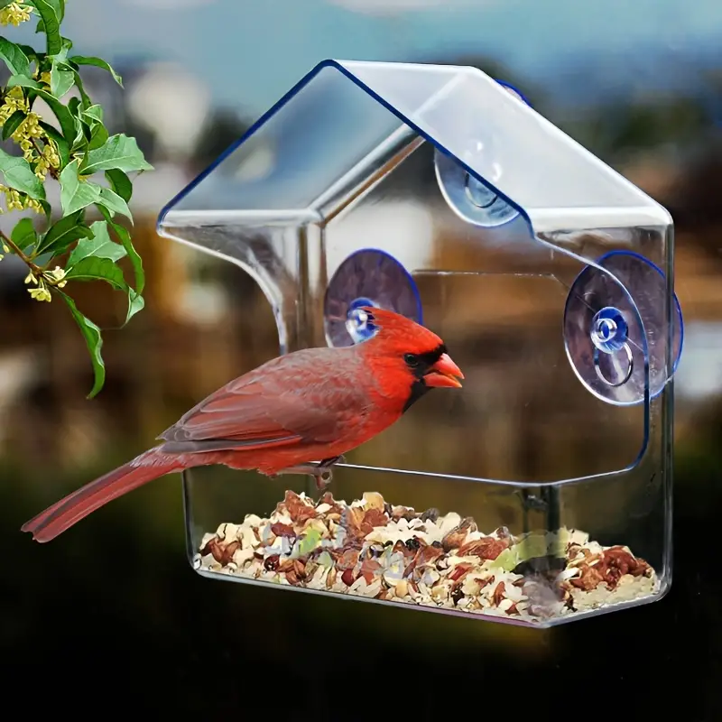 Window Bird Feeder For Outside Clear Plastic Bird Feeders - Temu