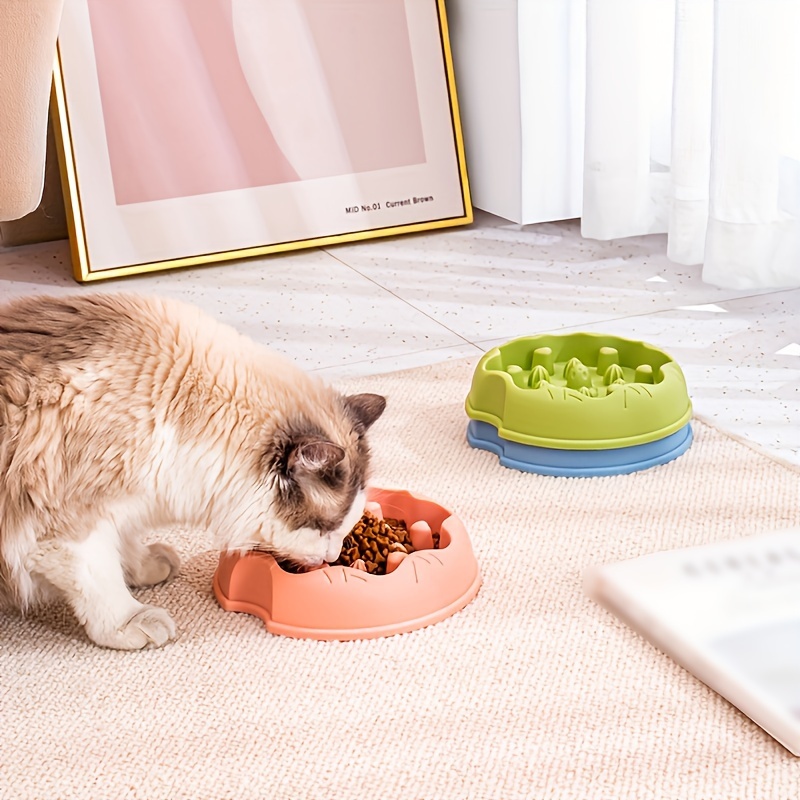 Cat Puzzle Feeder - Temu