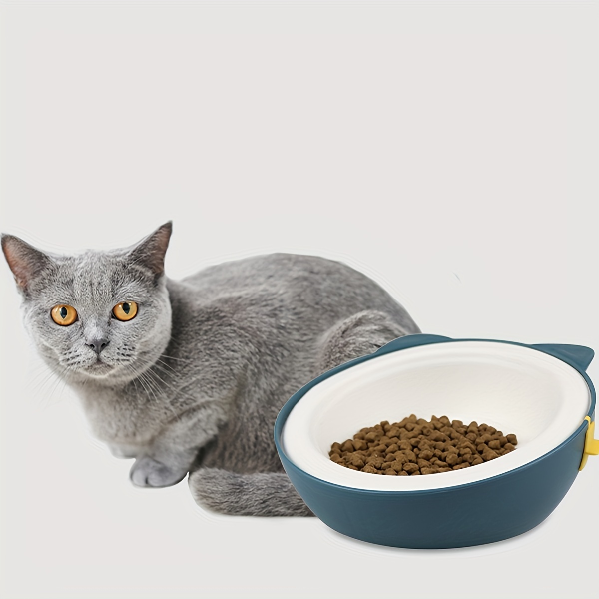 Cat Food Bowl Disposable Disposable Dog Bowl Oblique Bowl Temu