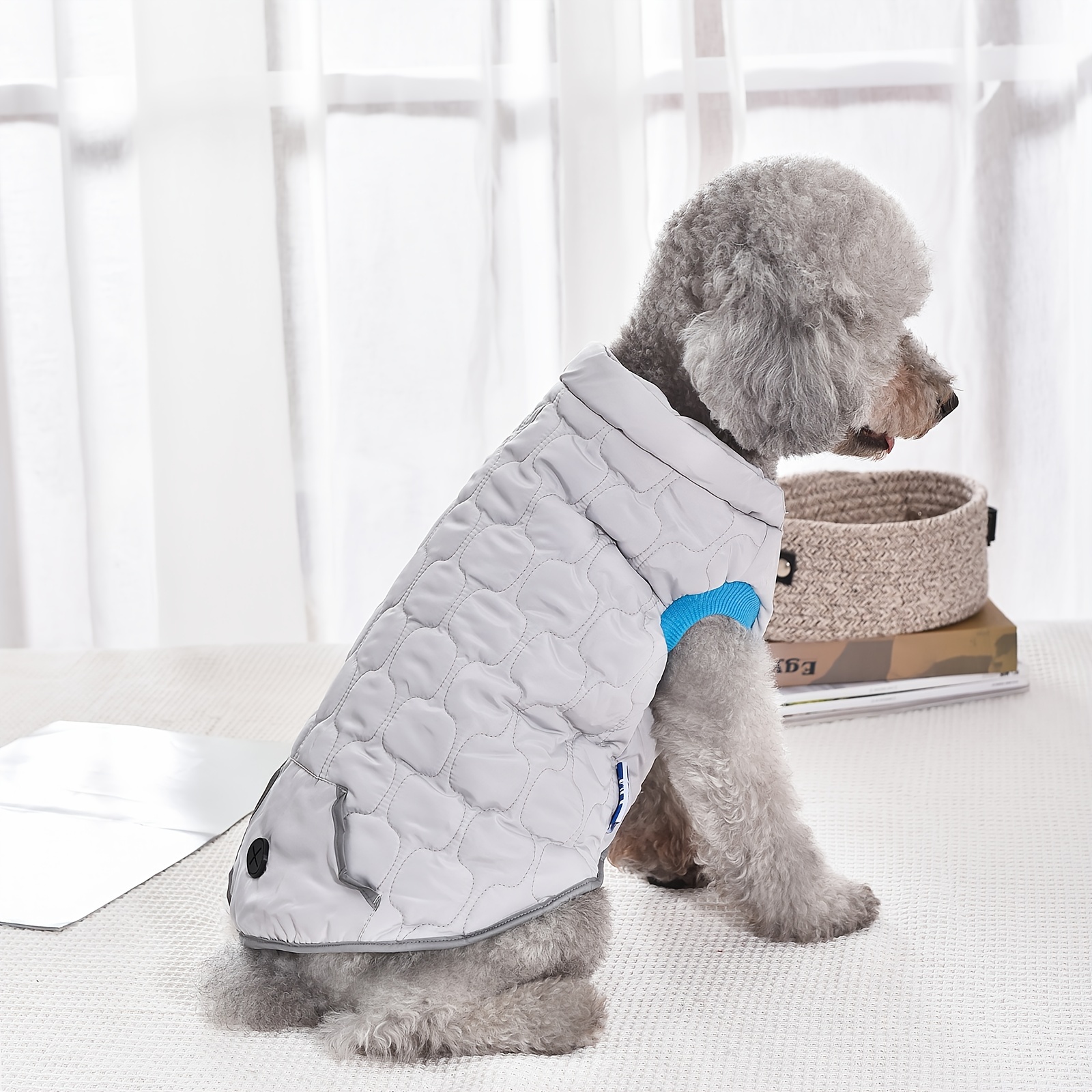 velcro dog vest