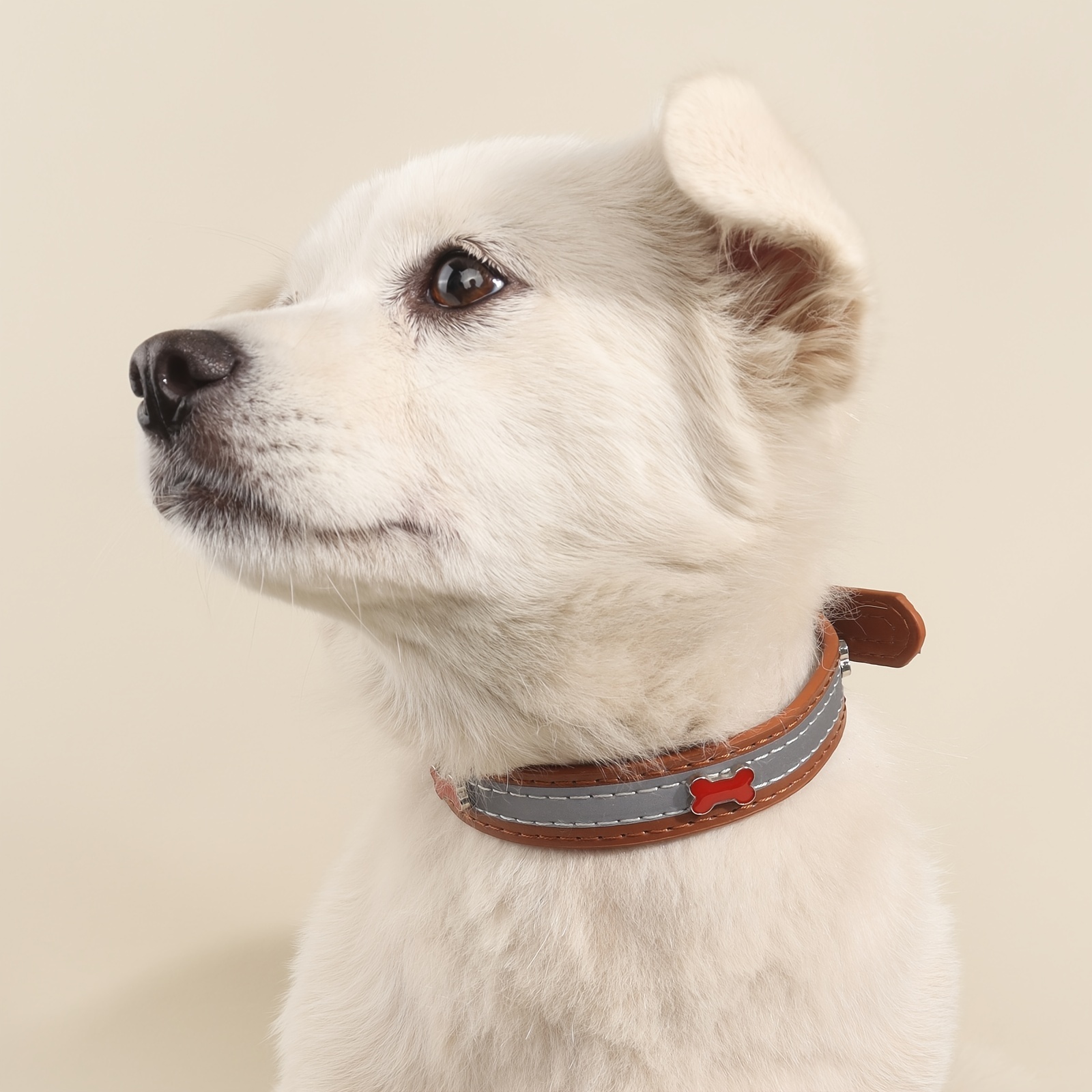 Pet Red Bone Pattern Leather Collar Adjustable Dog Collar Pet Collar, Quick & Secure Online Checkout