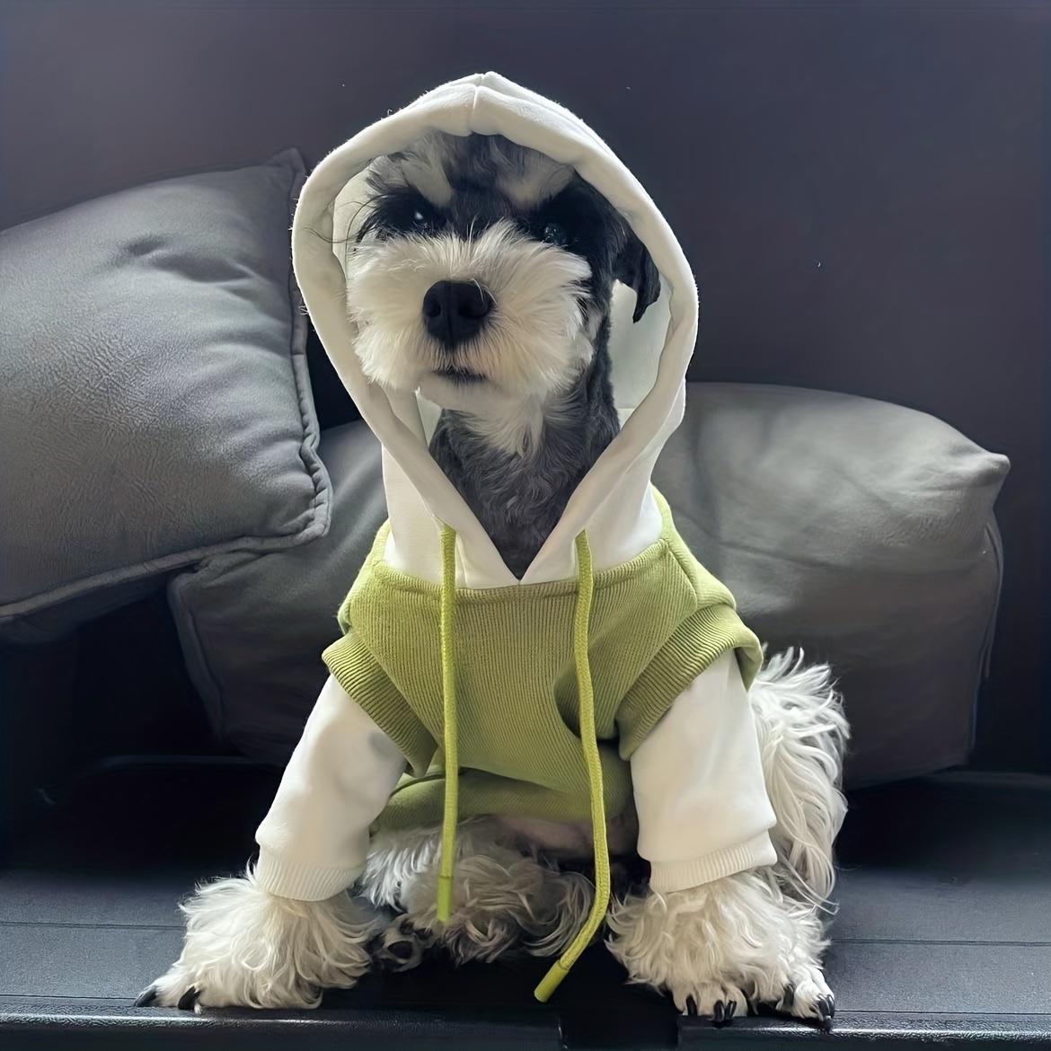 Warm Cozy Dog Hoodie for Winter
