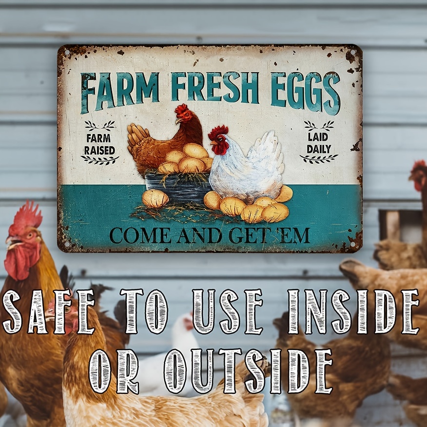 How To Tuesday: How to Clean Farm Fresh Eggs - Country Cleaver