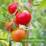 10/100pcs, Plastic Stand Plant Stand Clip Garden Clip, Tomato Grape Clip, Tomato Stand Clip, Grape Vegetable Tomatoes Grow Upright To Make Plants Healthier