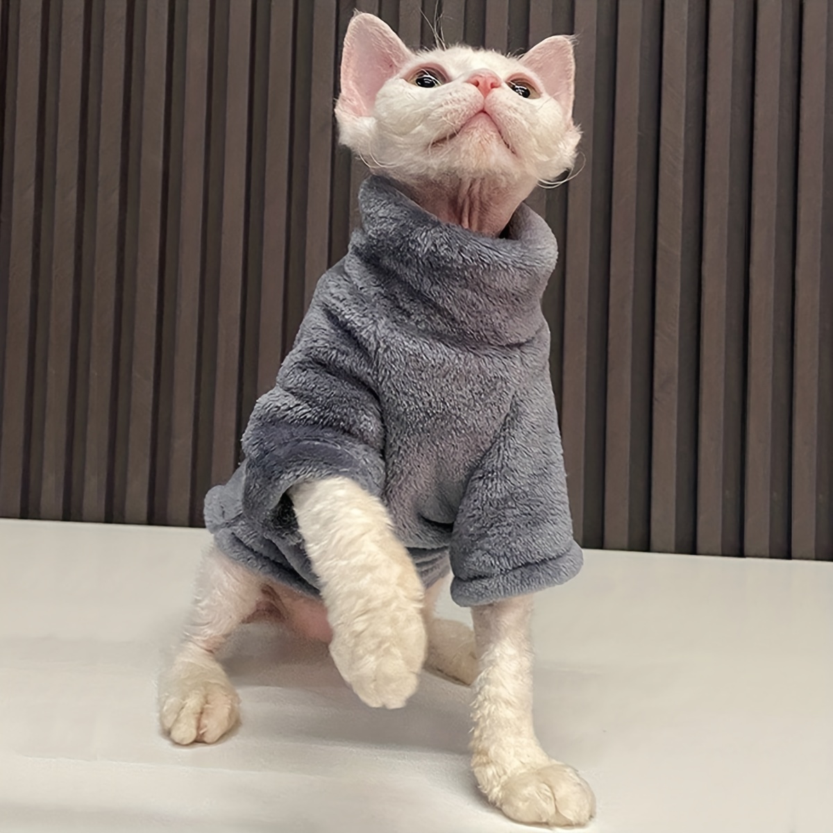 Sphynx Cat's Sweater Sport Chic