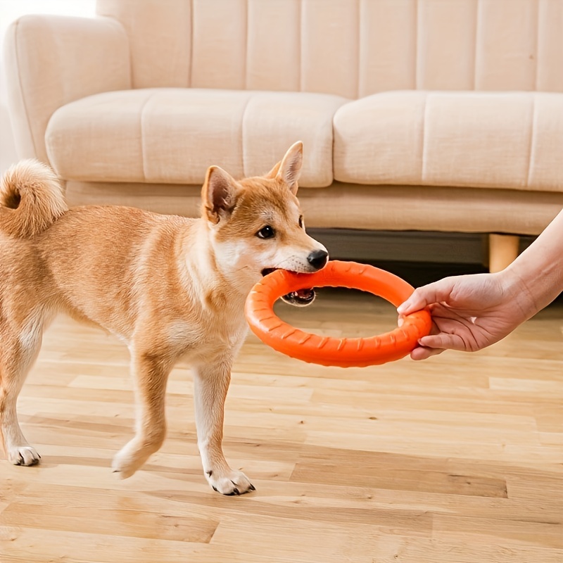 Dog Training Toys Outdoor Floating Flying Dog Disc - Temu