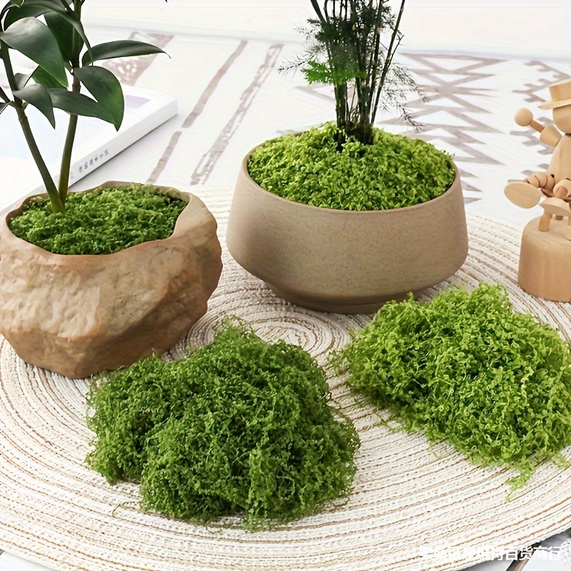 Musgo artificial de gran capacidad de 17.6 onzas para plantas en maceta,  hierba de musgo artificial natural para plantas falsas en interiores, musgo  artesanal y vegetación a granel, musgo forestal para hámsters (verde  fresco) : Hogar y Cocina 