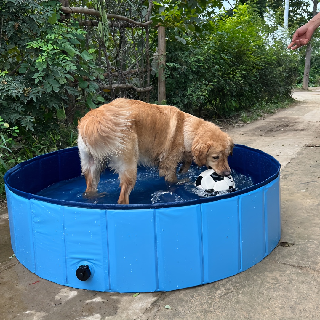 Jecoo - Piscina para perros grandes, 48 x 12 pulgadas, piscina para niños,  de plástico duro, plegable, bañera portátil de exterior, piscina para