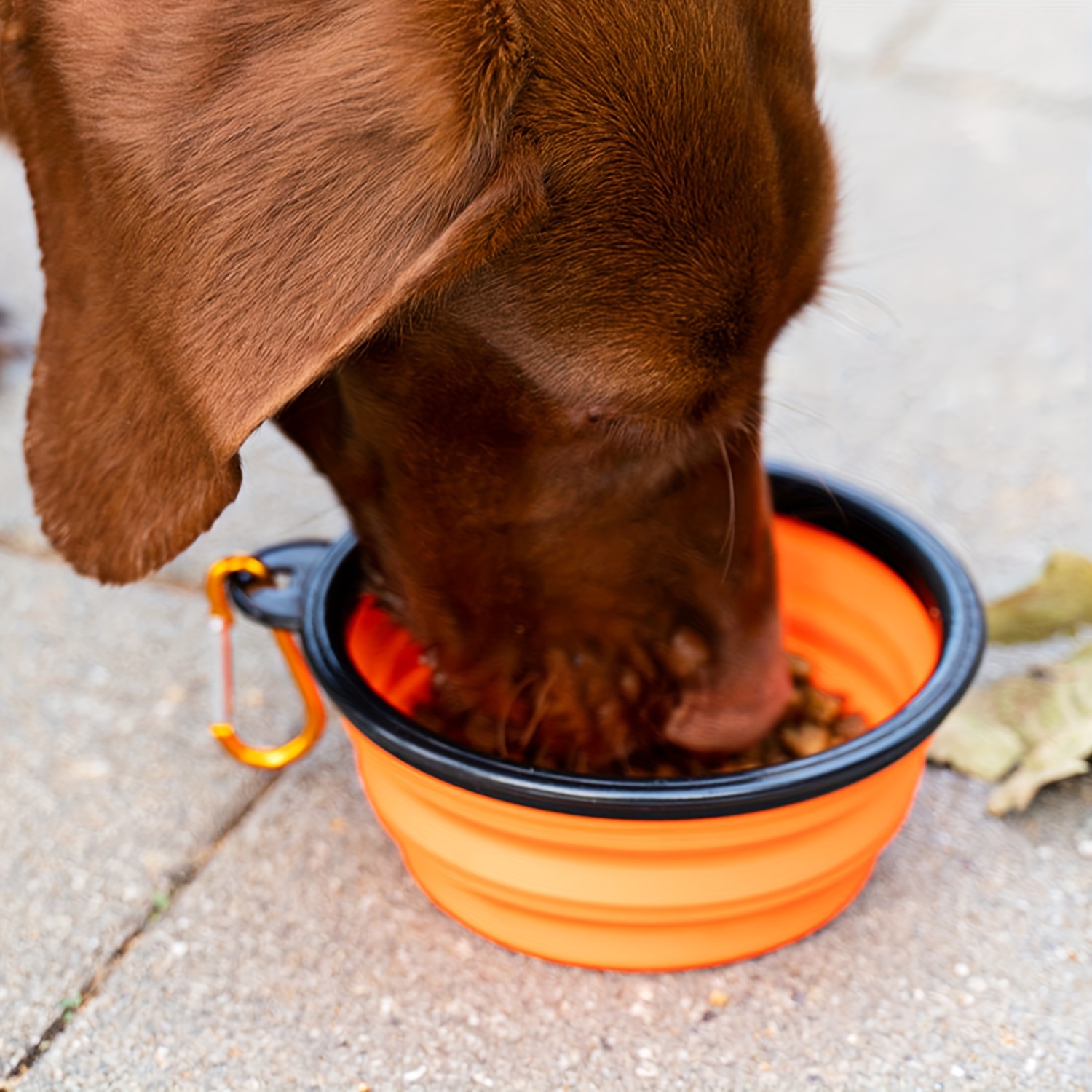 Ciotole Cani Pieghevoli Contenitore Portatile Alimenti Cani