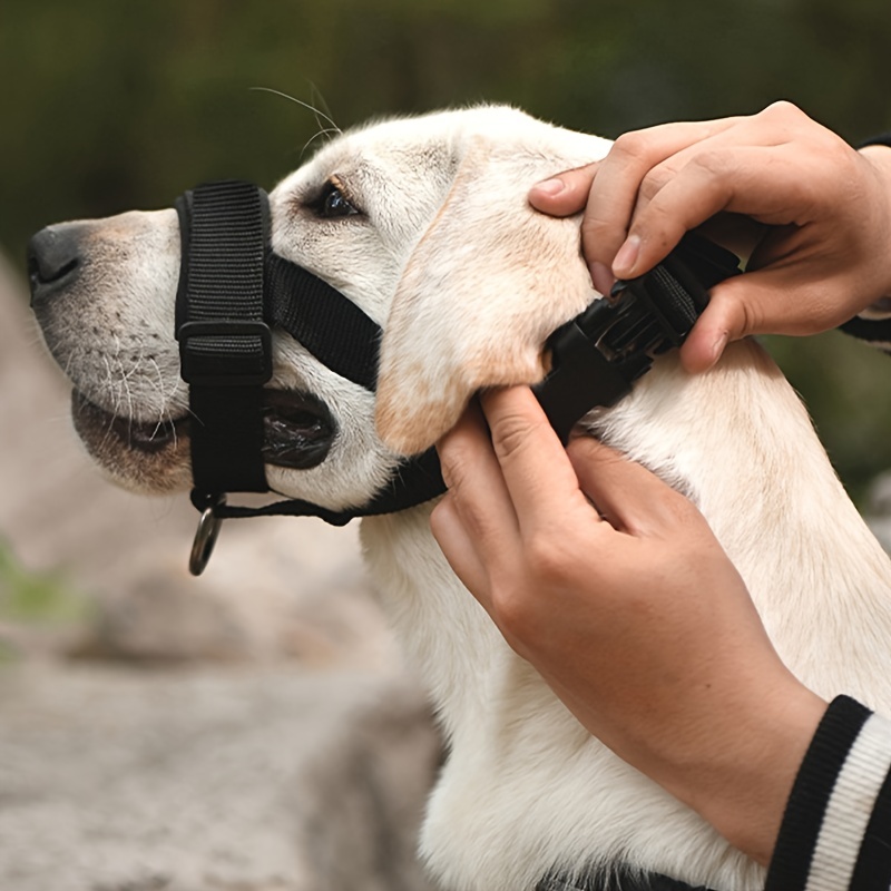Cinturón de Seguridad de Auto Trixie para Perros en Amigales Chile