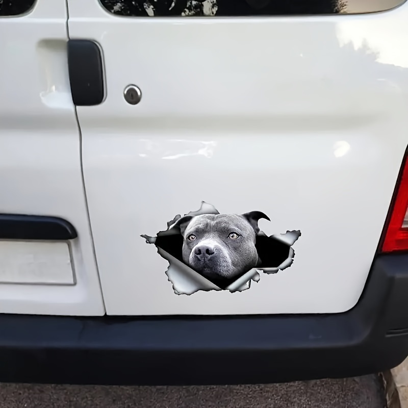 Blauer Pitbull hund autoaufkleber Rissen Zerrissene - Temu Germany