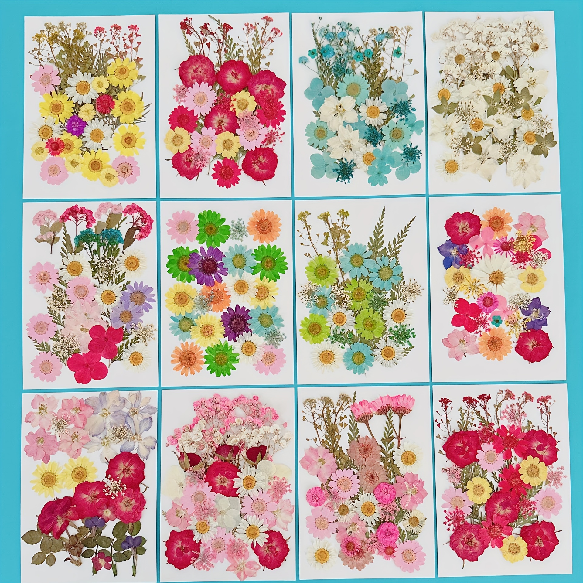 Rose Petal Pressed Real Dried Flowers, Pressed Flower, Dried Flower, Resin Flower, Flower for Resin Craft, Japanese Flower, Flower for  Crafting