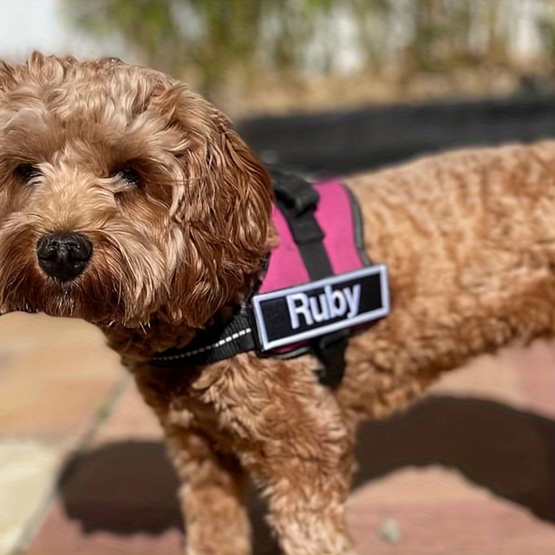 Prodotti Personalizzati Toppe Ricamate Con Nome Di Cane In Una Varietà Di  Colori, Personalizza Gli Adesivi Magici Del Tuo Animale Domestico - Temu  Italy