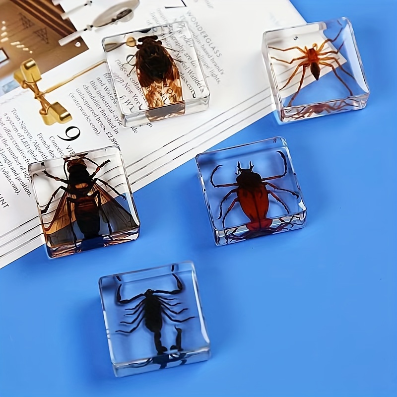 1pc Resin Insect Easter Square Shape Resin Insect Student Teaching AIDS  Animal Specimens Amber Artifact Ornaments