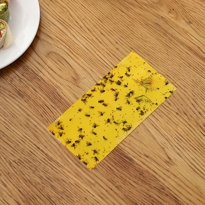 10pcs Double sided Sticky Board Insect Trap Sticky Paper Paste for Fruit Fly Trap