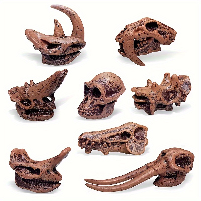Archaeological Prehistoric Mammal Skull Fossil Model - Temu Canada