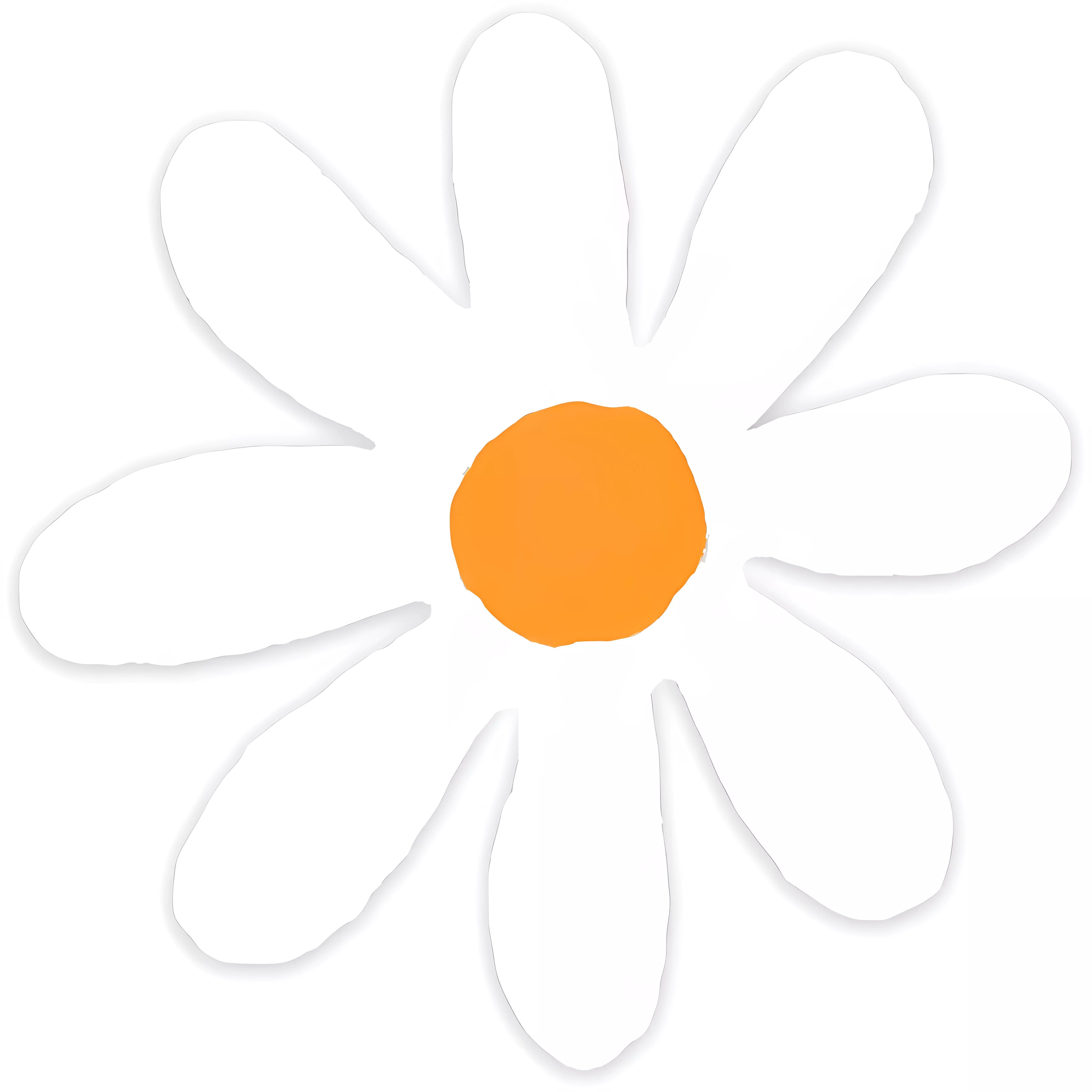 Keep Going Daisy Flower Sticker Decal – Wildflower Paper Company