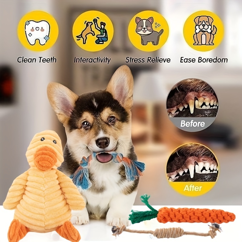 Squeak Dog Toys Stress Release Game for Boredom- Crinkle Plush Dog Toys for  Puppy Teething, Durable Interactive Dog Chew Toys for Small, Medium and  Large Dogs Training and Reduce Boredom and Cleaning 